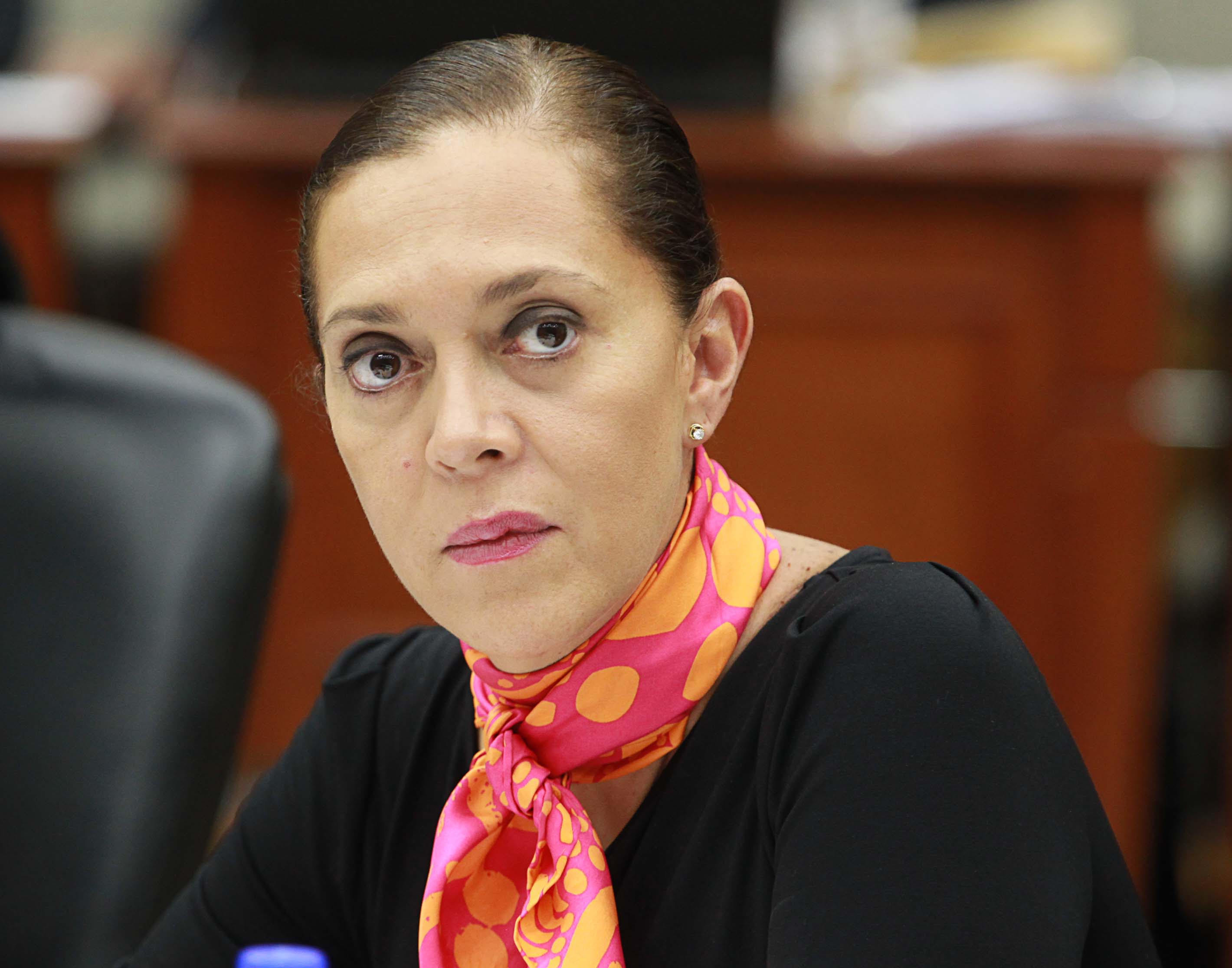 Consejera Electoral  Adriana Margarita Favela Herrera.