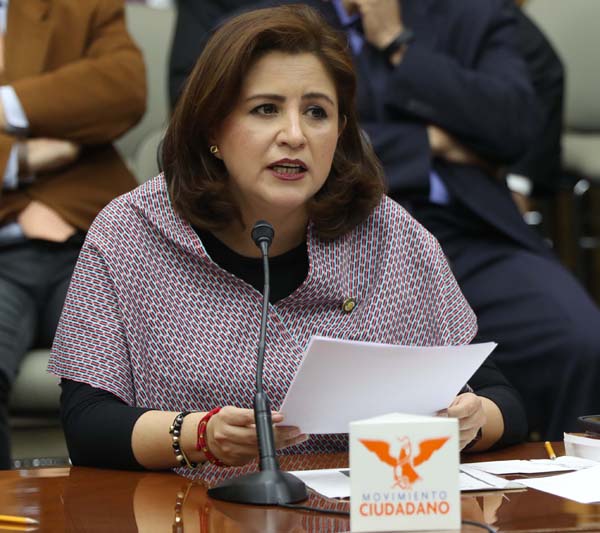 Representante del Partido Movimiento Ciudadano ante el Consejo General Martha Tagle Martínez