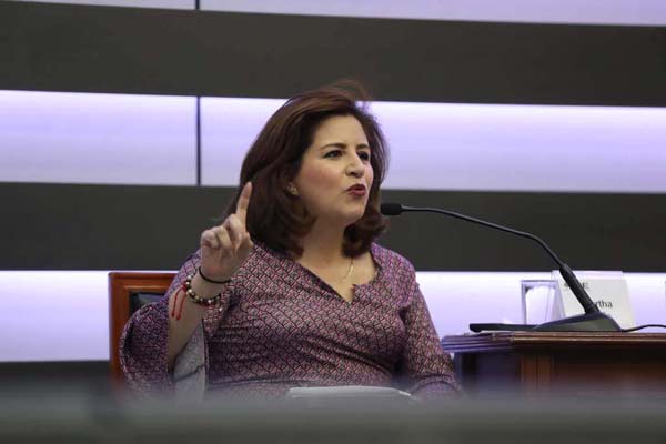 Senadora Martha Tagle Martínez.