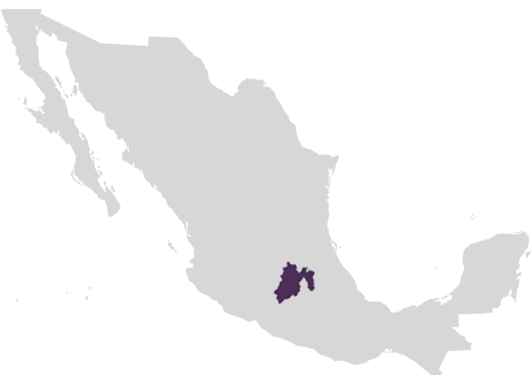Mapa Estado de México